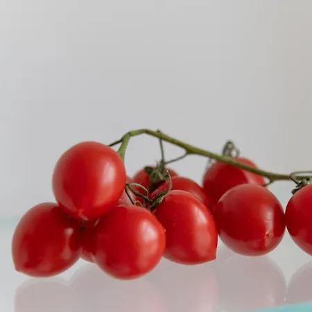 - Posizione Unica Nella Piazza Principale Appartamento