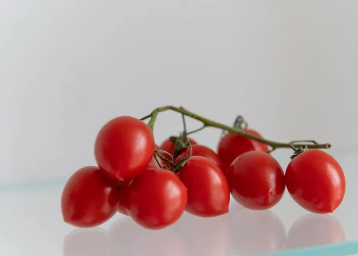 - Posizione Unica Nella Piazza Principale Апартаменти